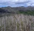 Climate Change in Dominica