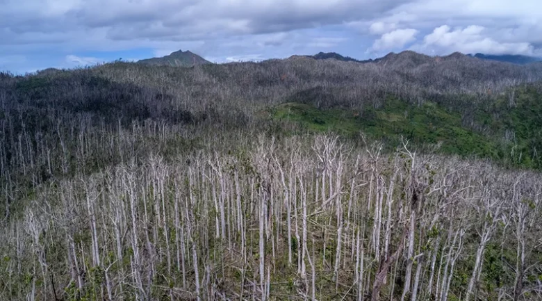Climate Change in Dominica