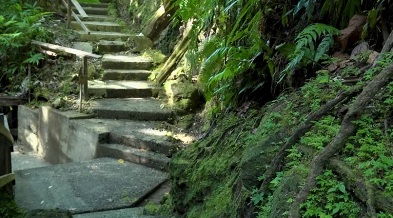 Sustainable Tourism in Dominica