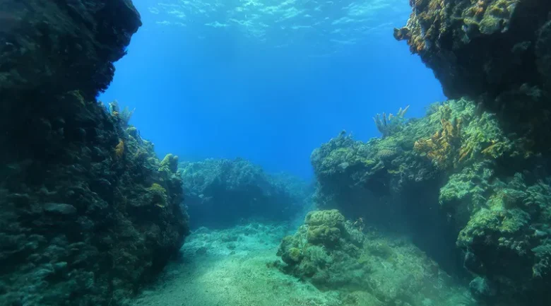 Caribbean Sea, Dominica