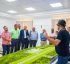 International Airport Project in Dominica