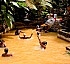 Dominica’s Health and Wellness Tourism