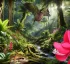 Endemic Species of Dominica