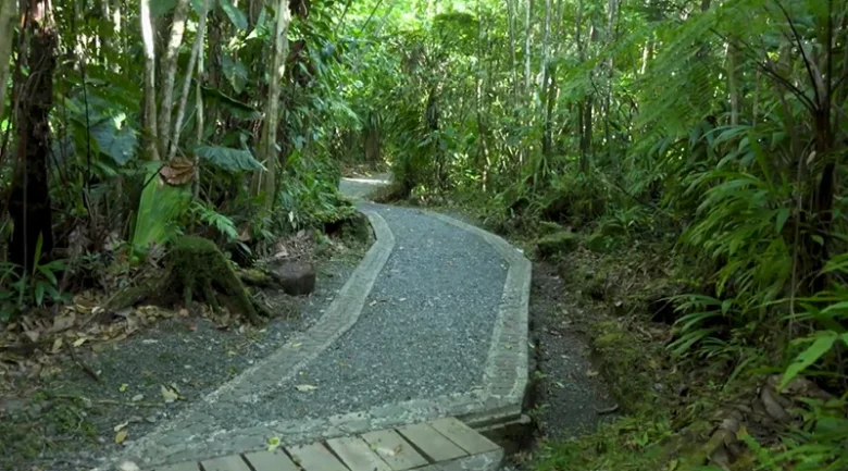 Sustainable Tourism in Dominica