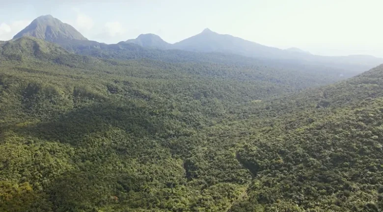 Sustainable Tourism in Dominica
