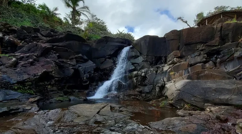 Kalinago
