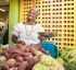 Dominica National Fair Trade Organization (DNFTO)