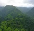 Mountainous Rainforests of Dominica