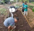National Association of Youth in Agriculture (NAYA)
