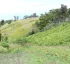 Colihaut Heights