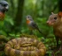 Wildlife