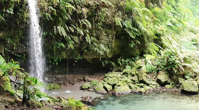 Morne Trois Pitons National Park