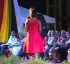 Meritorious Service Honours Act