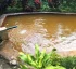 Natural Hot Springs in Dominica
