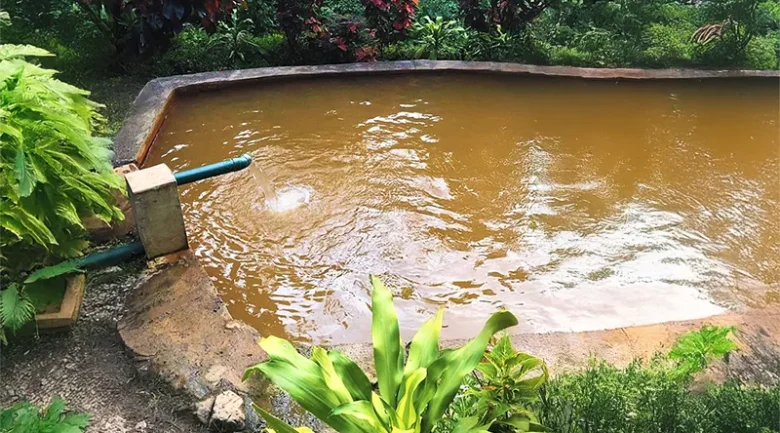 Natural Hot Springs in Dominica