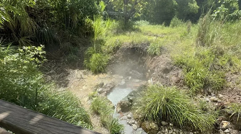 Natural Sulphur Springs in Dominica