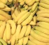 Bananas