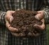Dominica’s Fertile Volcanic Soil