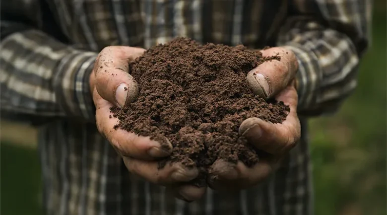 Dominica’s Fertile Volcanic Soil