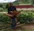 Food and Agriculture Organization (FAO) in Dominica