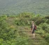 Morne Trois Pitons National Park