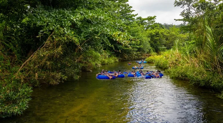 365 Rivers of Dominica