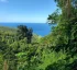 Waitukubuli National Trail: Segment #13