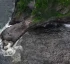 Glassy Pool: Scenic Escape