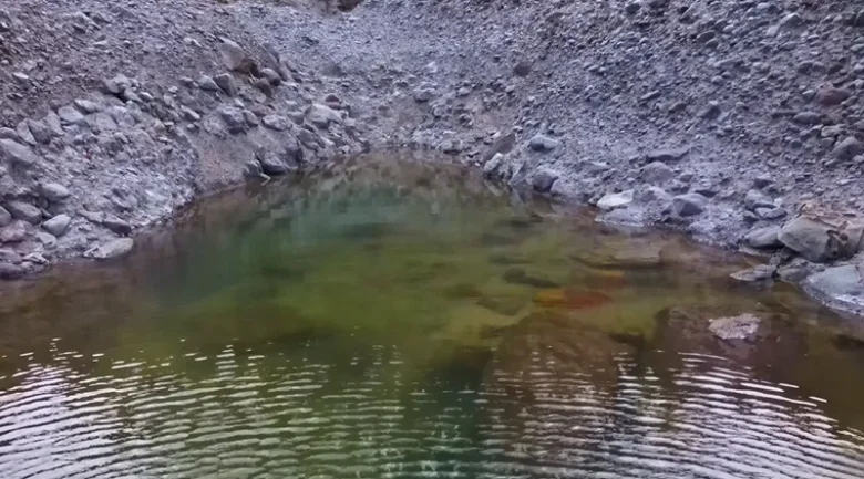Glassy Pool: Scenic Escape