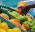 Citrus Certification Facility in Londonderry
