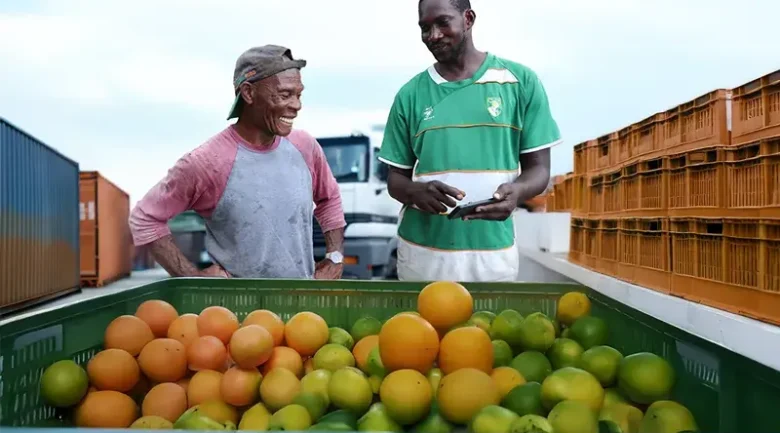 Farming in Dominica