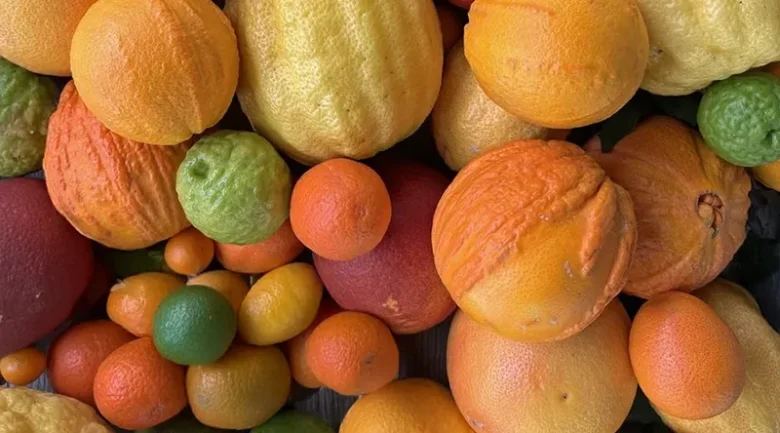 Citrus Fruits from Dominica