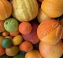 Citrus Fruits from Dominica