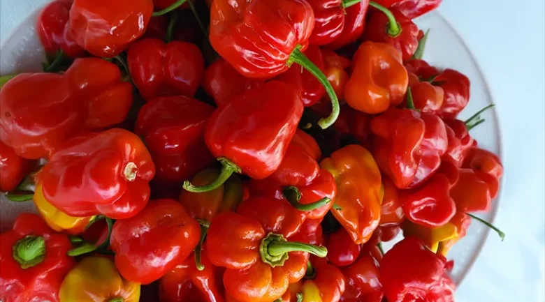 Hot Peppers