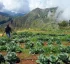 Dominica’s Tropical Climate