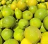 Limes