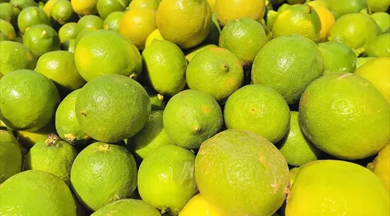Citrus Fruits from Dominica