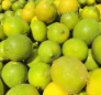 Limes