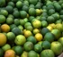 Oranges