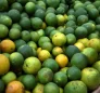 Oranges