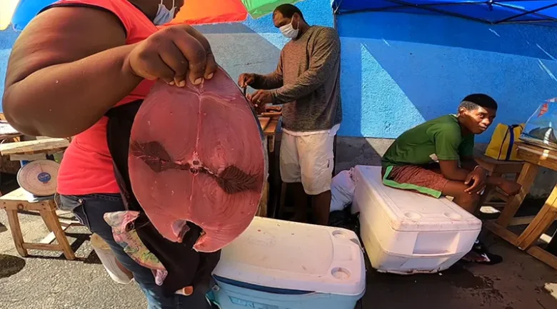 Fisheries Sector in Dominica