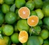 Tangerines (Mandarins)