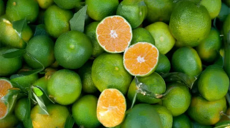 Tangerines (Mandarins)
