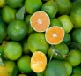 Tangerines (Mandarins)