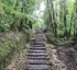 Boiling Lake Trail