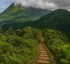 Dominica’s Tallest Mountain