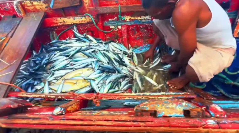 Fishing
