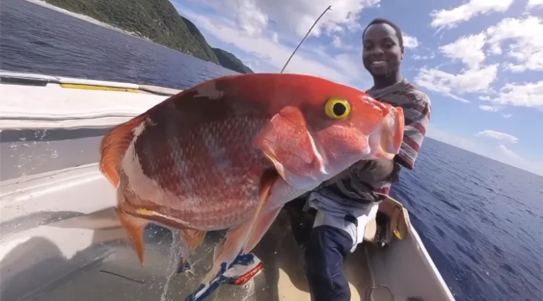 Fishing