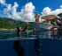 Free Diving in Dominica