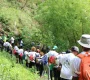Hiking Through Dominica Forests